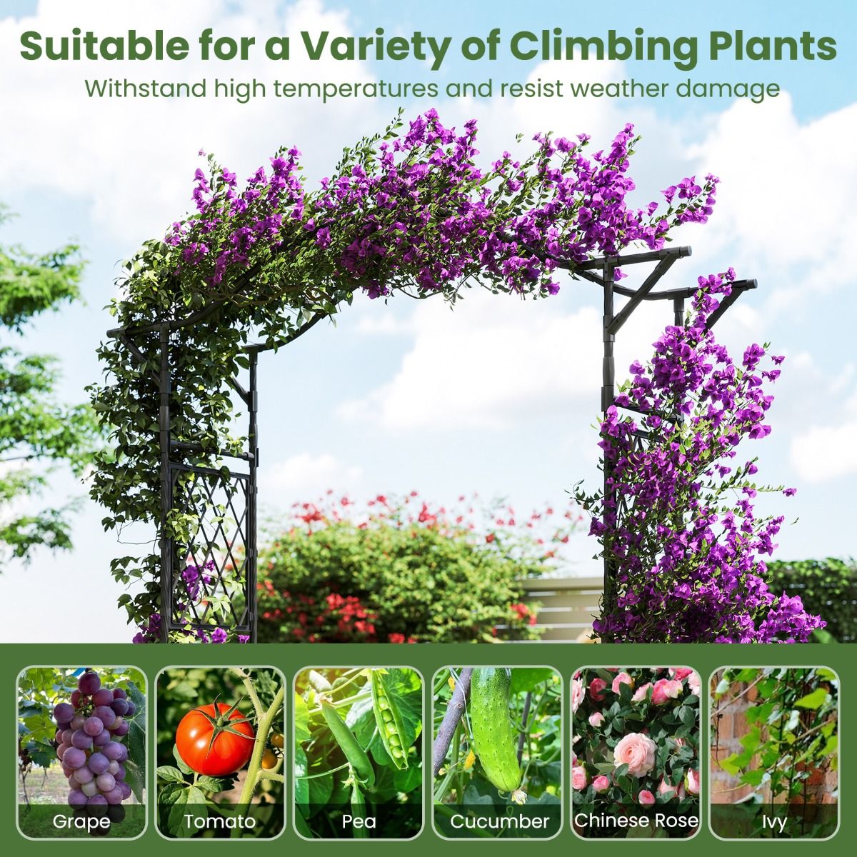 Coast Arche à roses en métal - treillis pour plantes de jardin - arche de porte - noir - 170 x 39 x 210 cm