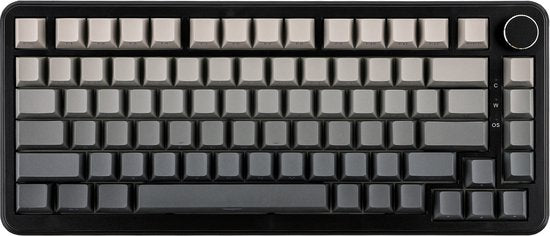 Ajazz AK820 MAX HE - 75% Wired RGB Gaming Keyboard - Hall Effect Rapid Trigger Mechanical Keyboards - Side Printed Keys - Gasket - Hot Swap - 8K Hz Polling Rate - QWERTY Keyboards - 82 Keys - Gradient Grey
