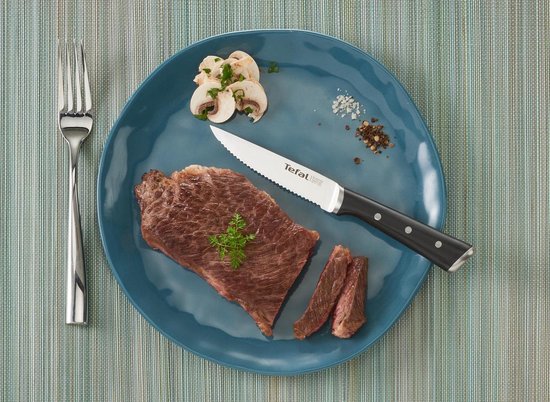 Tefal Ice Force - Couteau à steak - 11 cm - Lot de 4 - Acier inoxydable - Trempé à froid - Ergonomique