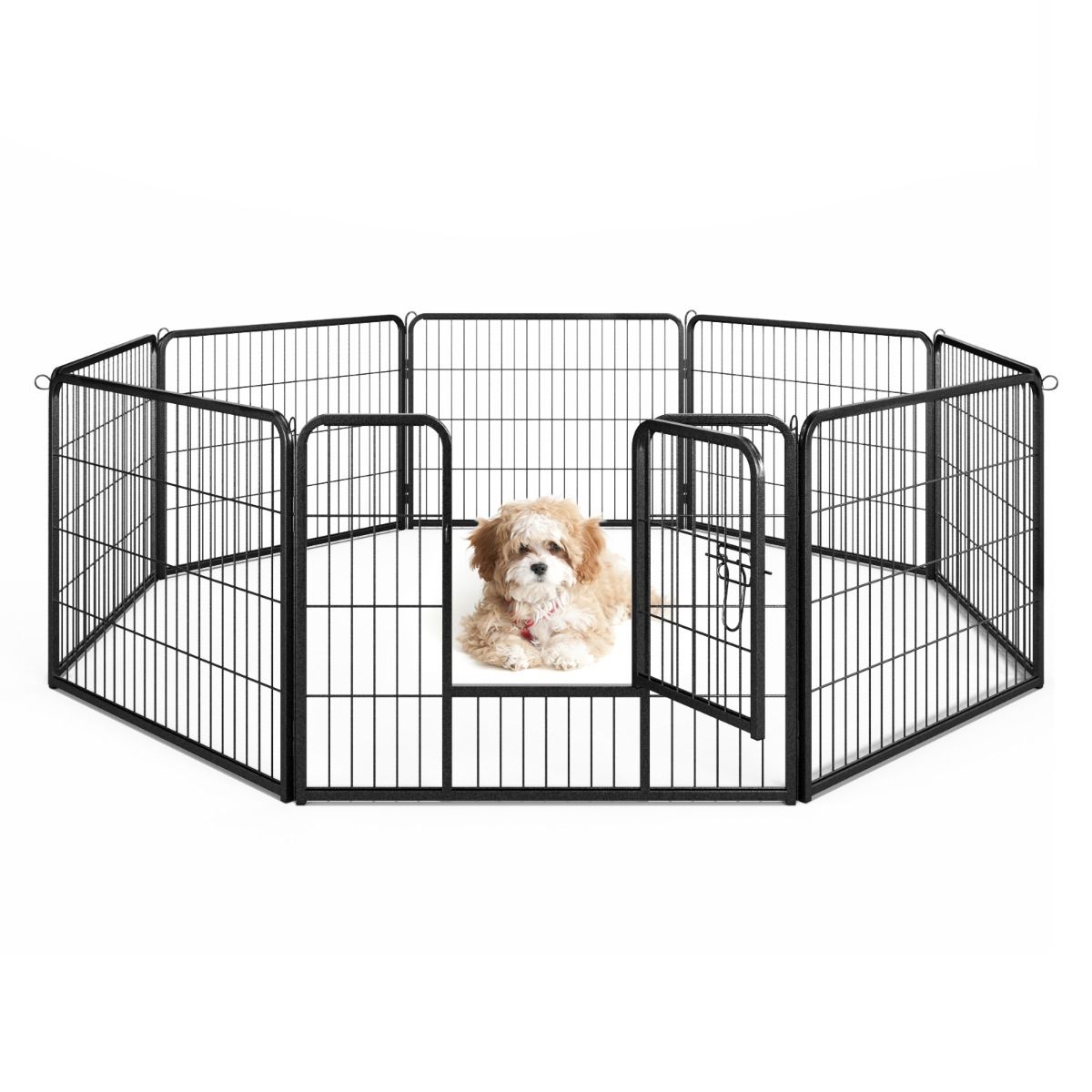 Niche pour chien Coast Indoor Outdoor - 8 Panneaux - 79x60 cm - Noir - Portable & Pliable - Pour Chiot/Petit Animal/Lunny/Cat