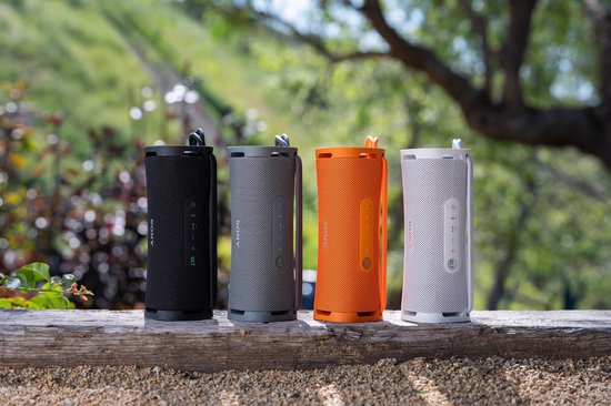 Sony ULT Field 1 - Enceinte Bluetooth - Gris forêt