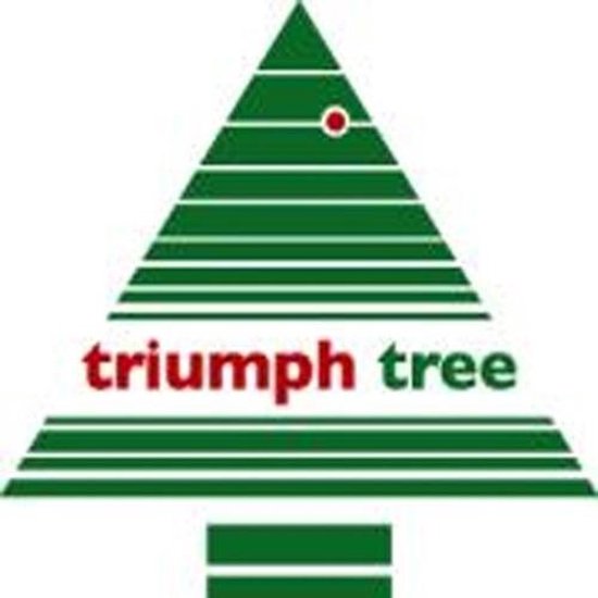 Triumph Tree Sherwood Deluxe Artificial Christmas Tree - H120 x Ø94 cm - Vert