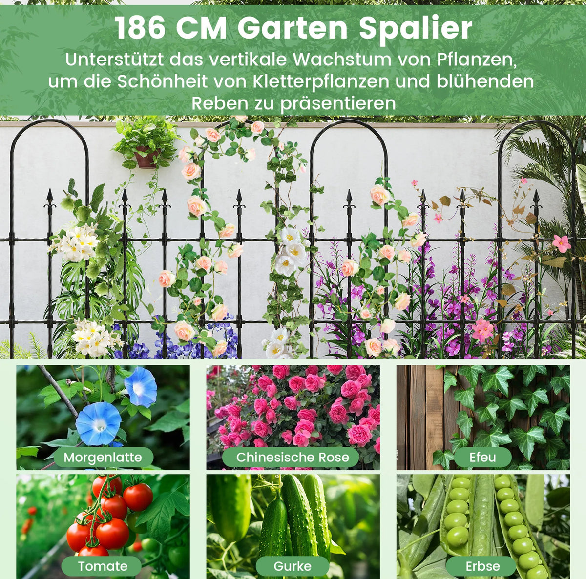 Coast Plant Rack for Climbing Plants and Roses - 146 x 186 cm - Support de jardin en métal noir pour fleurs, légumes et plantes grimpantes