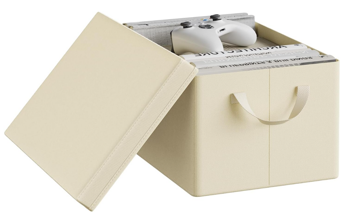 Boîte de rangement WOLTU avec couvercle - Crème - 38 x 27 x 20 cm - Pliable, 20 litres