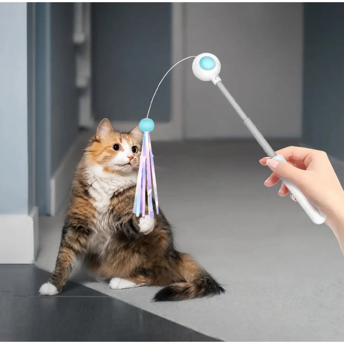 Canne à chat télescopique Petgravity - bleue