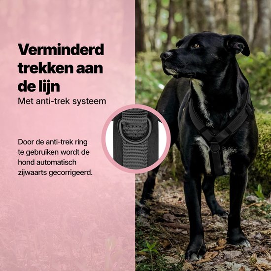 Harnais Jake and Jacky Dog Medium - Harnais Anti-Traction - Harnais Y pour chien - Harnais pour chien - Noir - Taille S