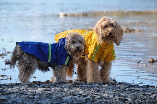 Dutchwide - Manteau pour chien - Imperméable pour chien - Jaune - Taille S
