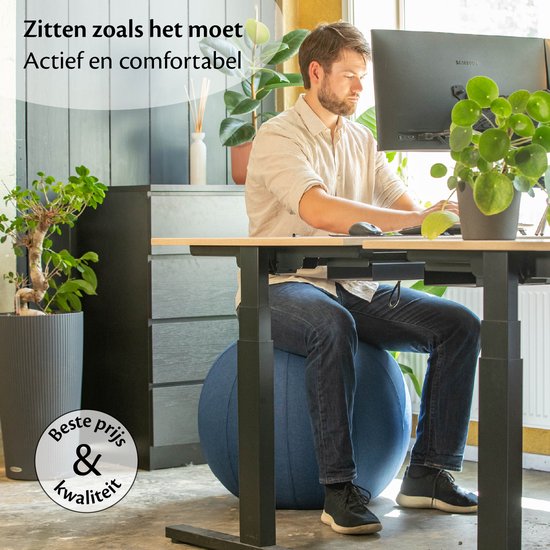 Backerz® Ballon d'assise pour le bureau et la maison 65 cm - Ballon de yoga haut de gamme - Ballons d'assise avec housse - Ballon ergonomique pour chaise de bureau - Lin anthracite
