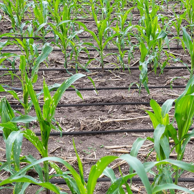 Yaheetech Tuyau goutte-à-goutte 30 m - Tuyau d'arrosage à perles - Noir
