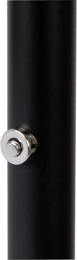 Lucide ZENITH - Lampadaire - LED à intensité variable - 1x20 W 3000 K - Noir