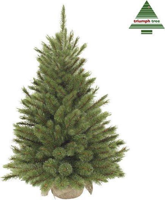 Triumph Tree Forest Artificial Christmas Tree Frosted en Jute - H90 x Ø62 cm - Vert