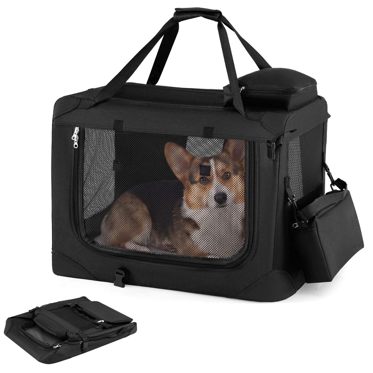 Cage de transport pliable pour chien Coast - filet respirant - 3 portes - noir
