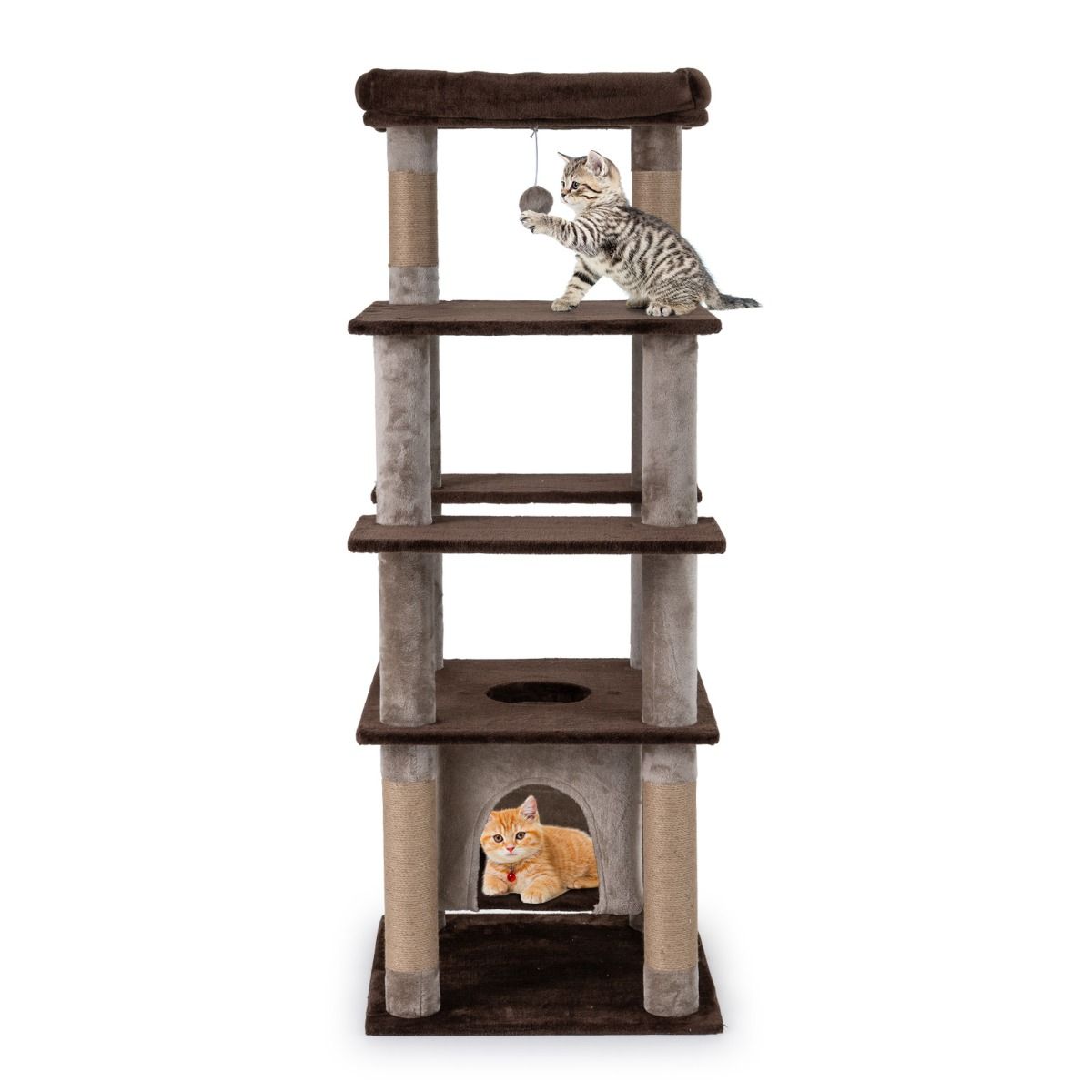 Arbre à chat Coast - plusieurs niveaux - maison pour chat à bascule - panier en peluche - marron - 56 x 56 x 148 cm