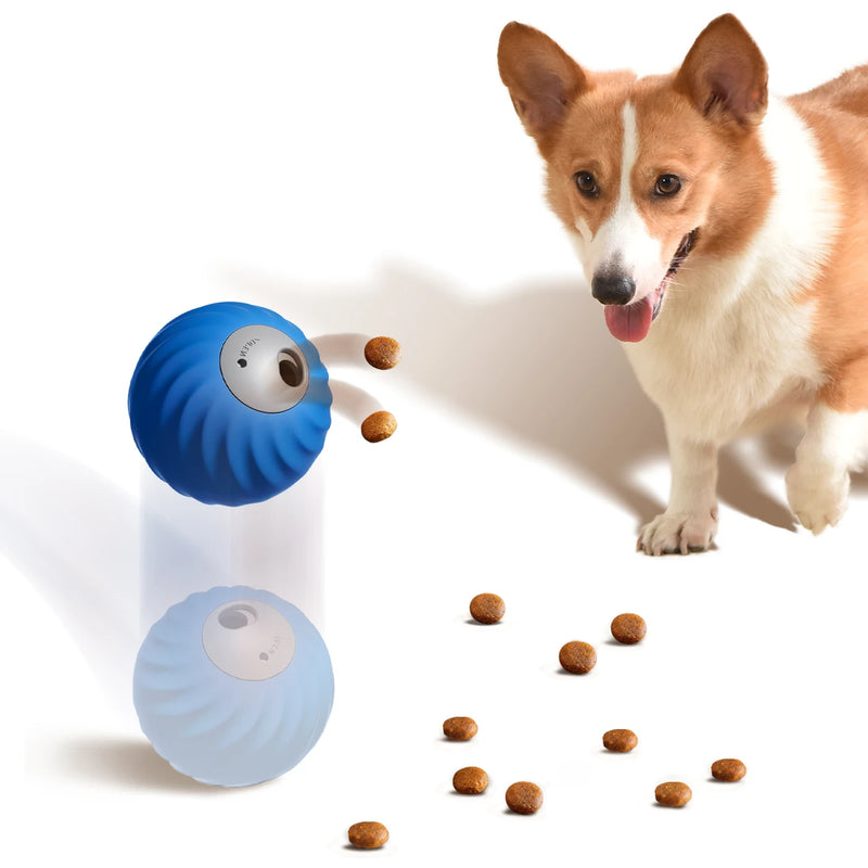 Petgravity Snack Shack Ball Bleu