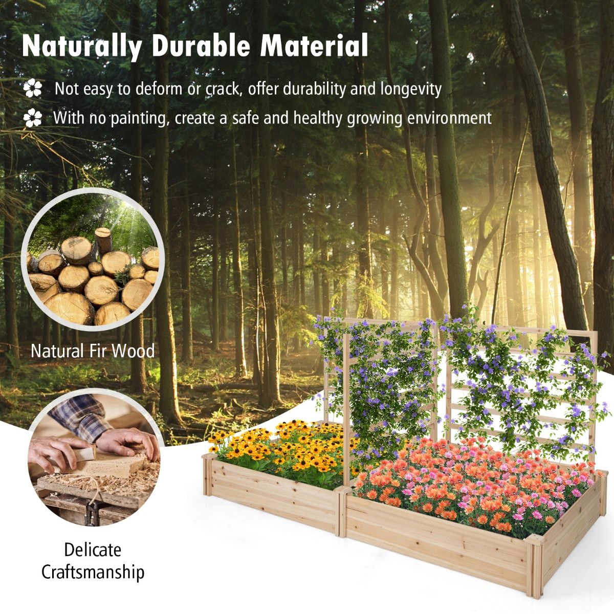 Jardinière en bois Coast avec 3 treillis - Potager surélevé - Fond ouvert - Bois de pin naturel - 222 x 114 x 110 cm