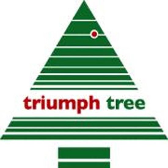 Triumph Tree Bristlecone Artificial Christmas Tree with LED Lights - H185 x Ø119 cm - Dark Green (vert foncé)
