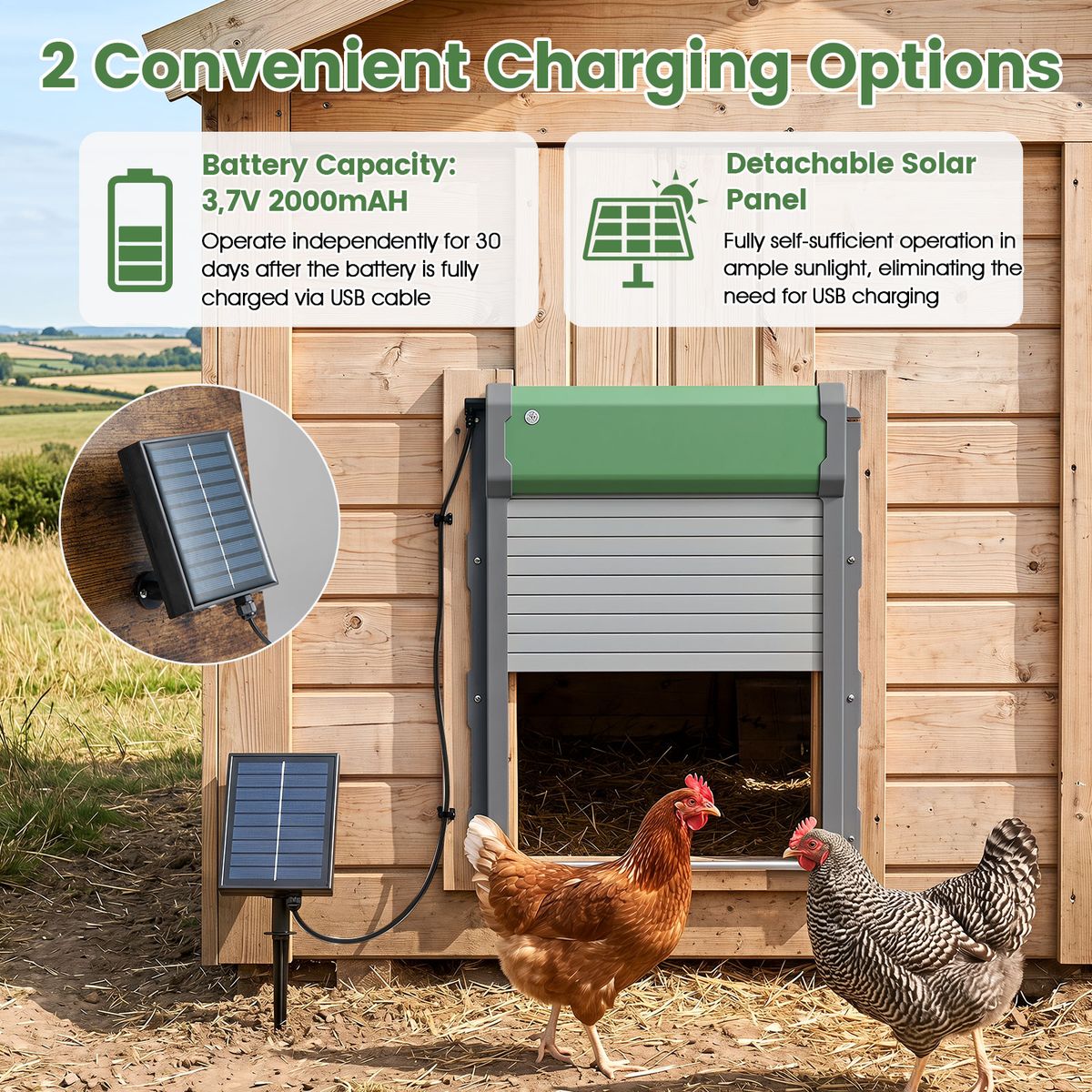 Trappe automatique pour poules Coast - énergie solaire - 4 modes de fonctionnement - vert et argent