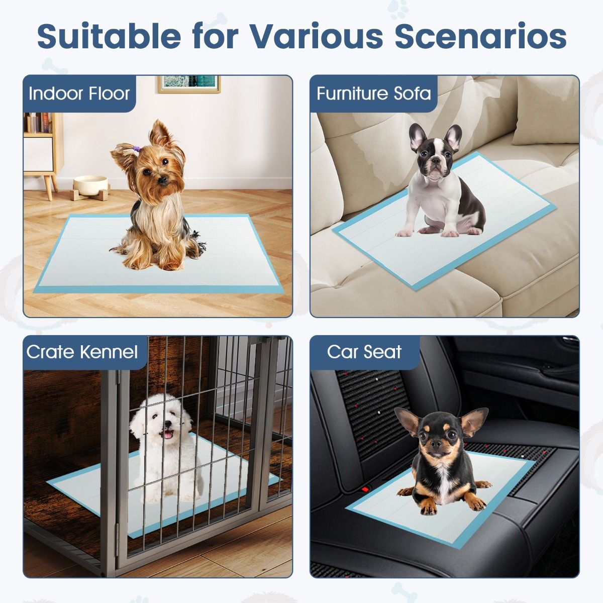 Tapis absorbants pour animaux de compagnie Coast - 6 couches - Étanches et ultra-absorbants - 60 x 43 cm - 300 pièces - Bleu/Blanc