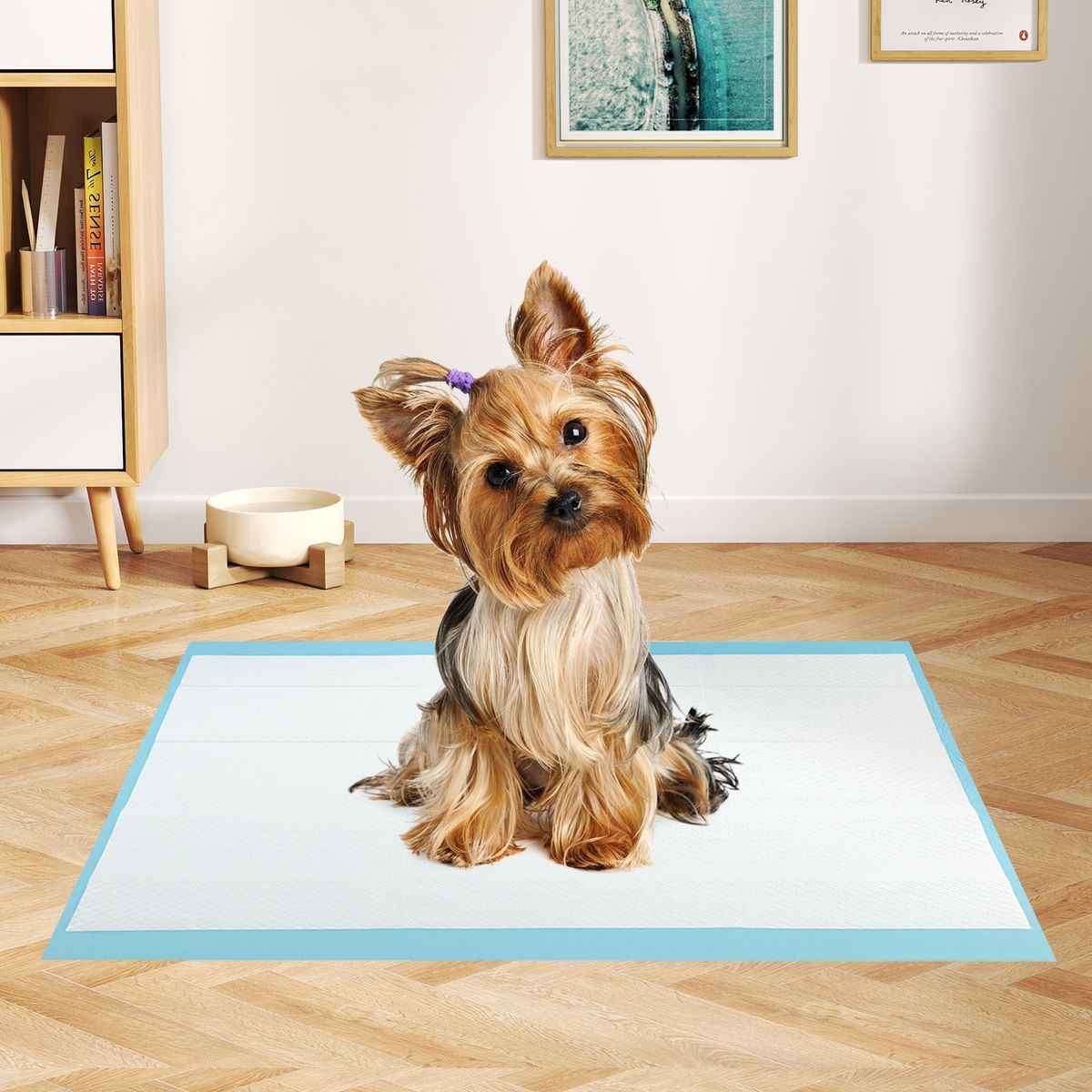 Tapis absorbants pour animaux de compagnie Coast - 6 couches - Étanches et ultra-absorbants - 60 x 43 cm - 300 pièces - Bleu/Blanc