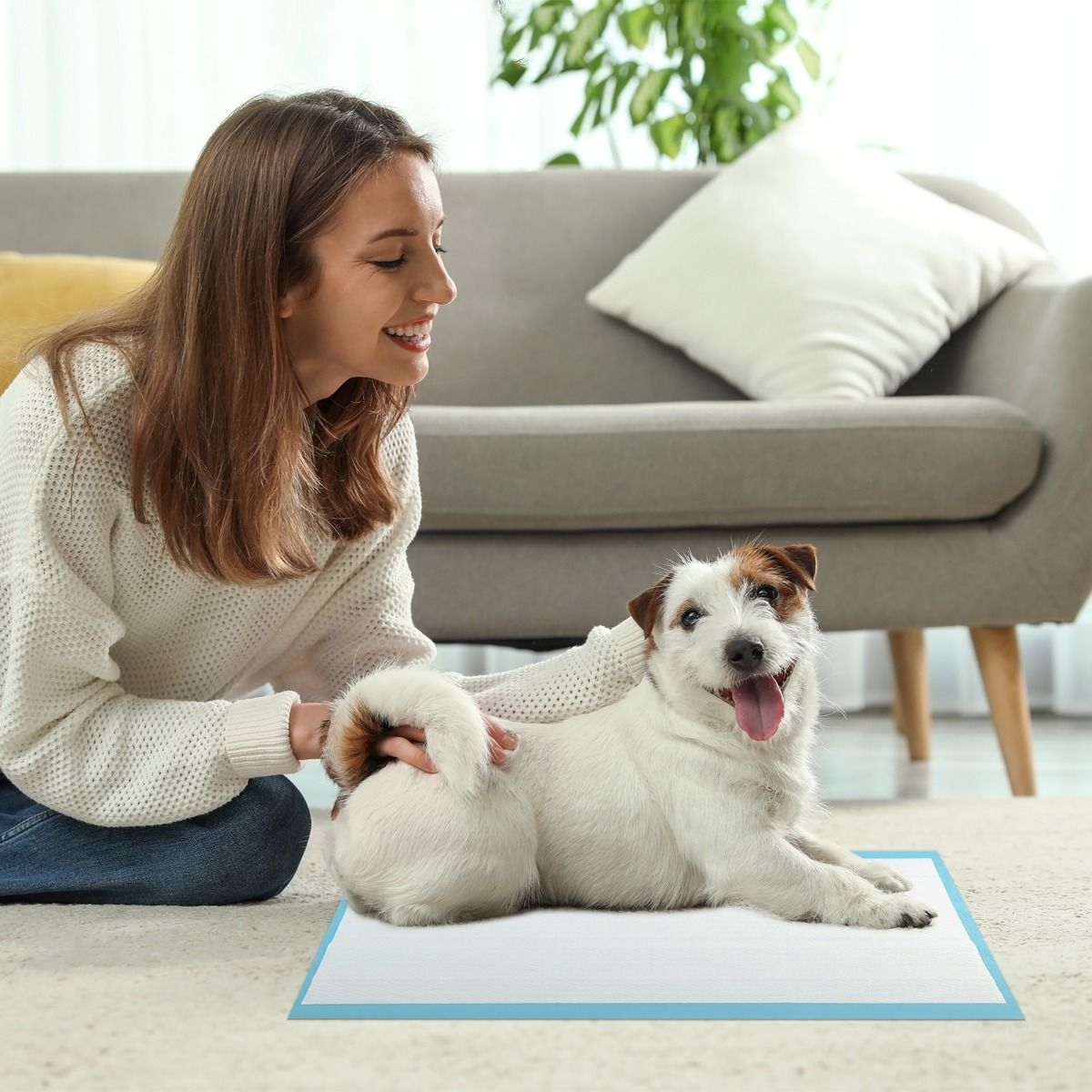 Tapis absorbants pour animaux de compagnie Coast - 6 couches - Étanches et ultra-absorbants - 60 x 43 cm - 300 pièces - Bleu/Blanc