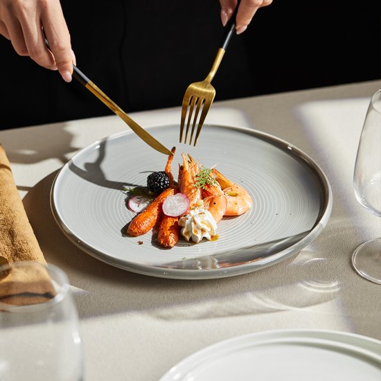 Lot de 4 assiettes plates (Ø 21,8 cm / 8,5 pouces), lot d'assiettes, assiettes à petit-déjeuner, assiettes à dessert, service de table pour 4 personnes, convient aux restaurants, à la restauration, aux fêtes, aux réunions de famille, aux banquets et aux p