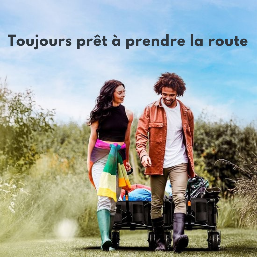 LifeGoods Wagon - Pliable - 100KG - 135L - Wagon pliable avec roues amovibles - Housse de protection - Noir